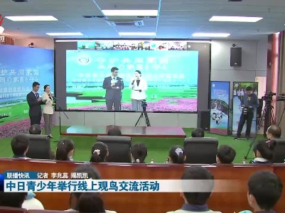 中日青少年举行线上观鸟交流活动