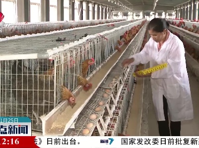 江西：八大措施推进家禽产业发展