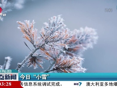 今日“小雪”