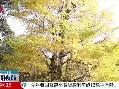 江西：初冬美如画
