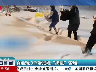 真会玩 3个爹把娃“扔进”雪堆
