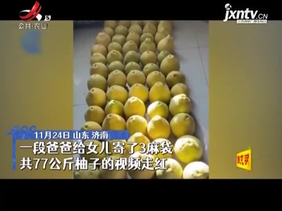 女儿外地上学 父亲从家乡寄来77公斤柚子