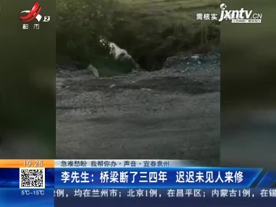 【急难愁盼 我帮你办·声音·宜春袁州】李先生：桥梁断了三四年 迟迟未见人来修