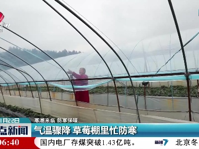 【寒潮来临 防寒保暖】气温骤降 草莓棚里忙防寒