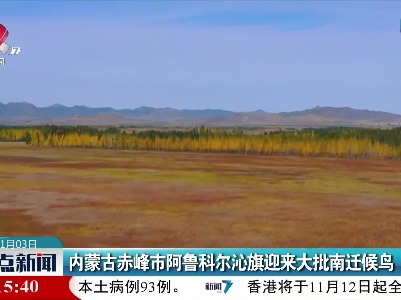 内蒙古赤峰市阿鲁科尔沁旗迎来大批南迁候鸟