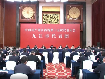 【作示范 勇争先 奋力书写精彩华章】省第十五次党代会代表分组讨论报告