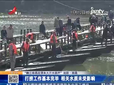 【“赣江南昌段漂来大片水葫芦”追踪】南昌：打捞工作基本完毕 相关水质未受影响
