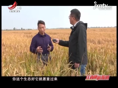 江西旅游报道20211115