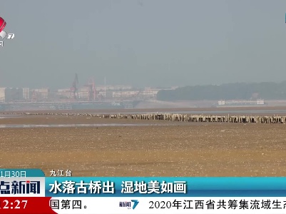 水落古桥出 湿地美如画