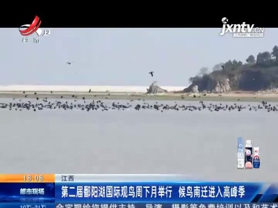 江西：第二届鄱阳湖国际观鸟周下月举行 候鸟南迁进入高峰季