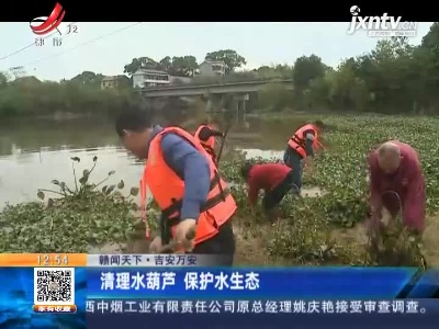 【赣闻天下】吉安万安：清理水葫芦 保护水生态