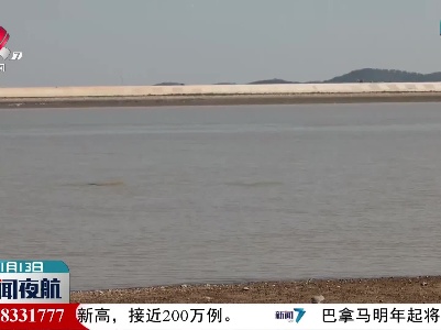 鄱阳湖枯水期现大型长江江豚种群