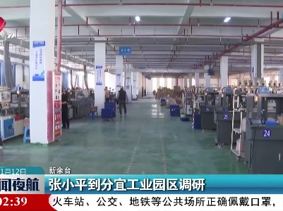 张小平到分宜工业园区调研