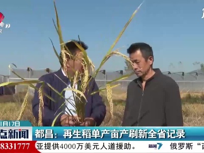 都昌：再生稻单产亩产刷新全省记录