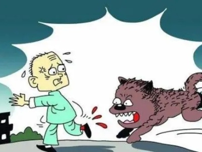 热评|“狗咬人事件”，引以为戒、主动作为才是大结局