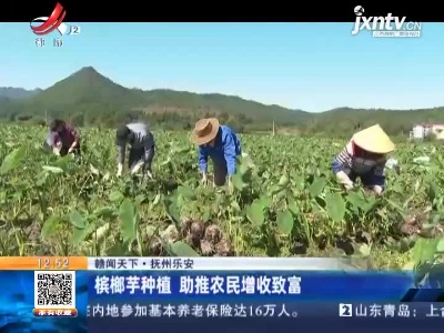 【赣闻天下】抚州乐安：槟榔芋种植 助推农民增收致富