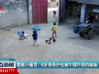 勇敢小暖男！6岁哥哥护住被牛犊吓哭的妹妹