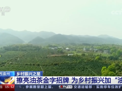 江西袁州乡村振兴之星擦亮油茶金字招牌为乡村振兴加“油”
