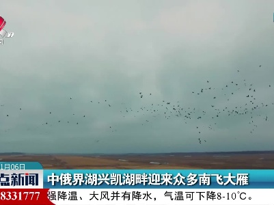 中俄界湖兴凯湖畔迎来众多南飞大雁