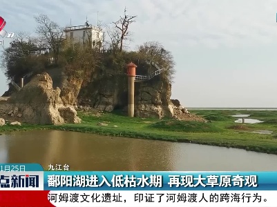 鄱阳湖进入低枯水期 再现大草原奇观