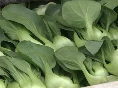 “菜篮子”保供稳价 | 北京：免除4个批发市场进场交易费 增加蔬菜供应