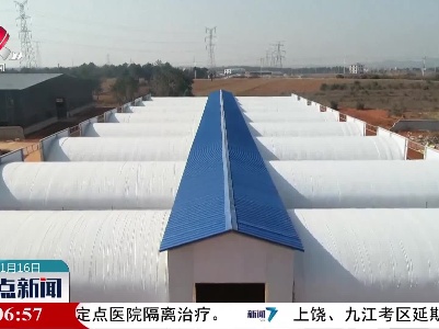 整点新闻20211116 14:00