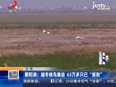 鄱阳湖：越冬候鸟集结 63万多只已“报到”
