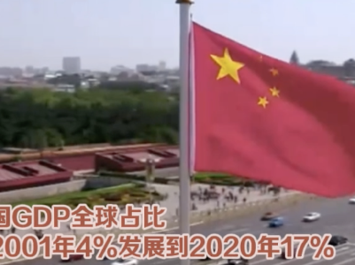 从进博会看入世20年 这份成绩单请收好！