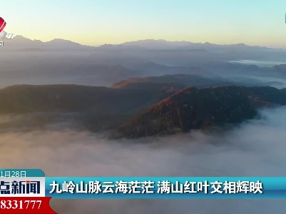 九岭山脉云海茫茫 满山红叶交相辉映