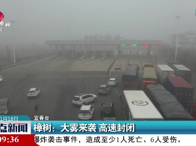 樟树：大雾来袭 高速封闭