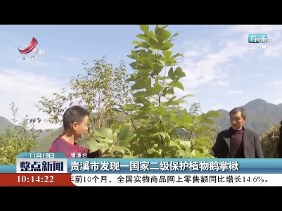 整点新闻20211119 10:00