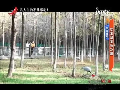 地宝当家20211130