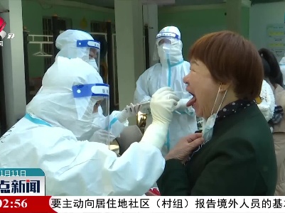 整点新闻20211111 16:00