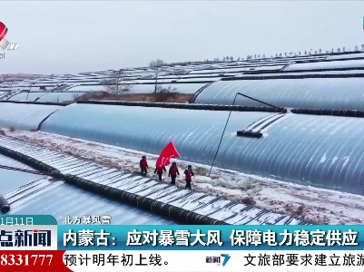 【北方暴风雪】内蒙古：应对暴雪大风 保障电力稳定供应