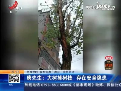 【急难愁盼 我帮你办·声音】南昌新建·唐先生：大树掉树枝存在安全隐患