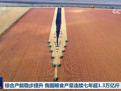 综合产能稳步提升 我国粮食产量连续七年超1.3万亿斤