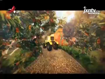 稻花香里20211108 乡村发现——枯叶变形记