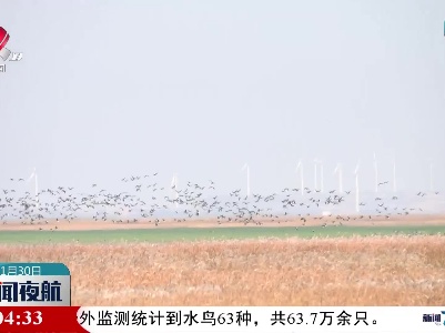 鄱阳湖区越冬候鸟达到63.7万只