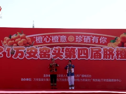 “双十一”电商节：江西有好物 赣品网上行