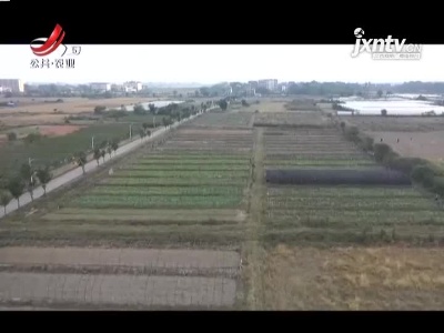 三农要闻20211106