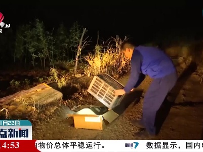 婺源：居民家中来了果子狸 消防部门救助放生