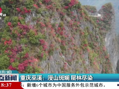 重庆巫溪：漫山斑斓 层林尽染