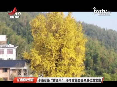 江西旅游报道20211119