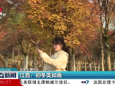 江西：初冬美如画