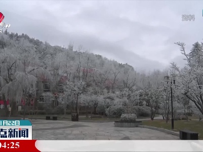 今日“小雪”