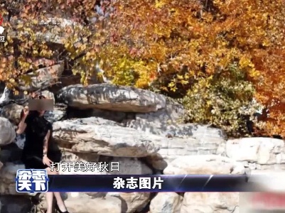 杂志天下20211102