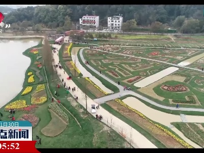 整点新闻20211130 12:00