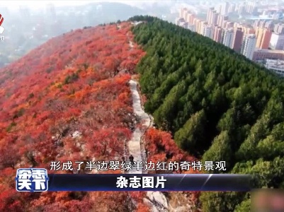 杂志天下20211108