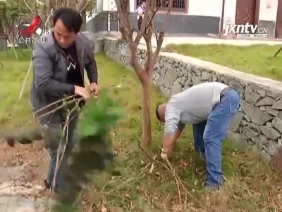 三农要闻20211103