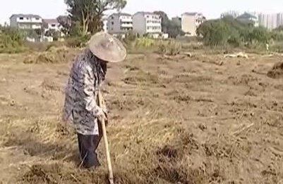 【聚焦“放管服”改革 曝光“怕慢假庸散”】后续·鹰潭高新区：抛荒农田正在复垦 无水灌溉问题也有望解决